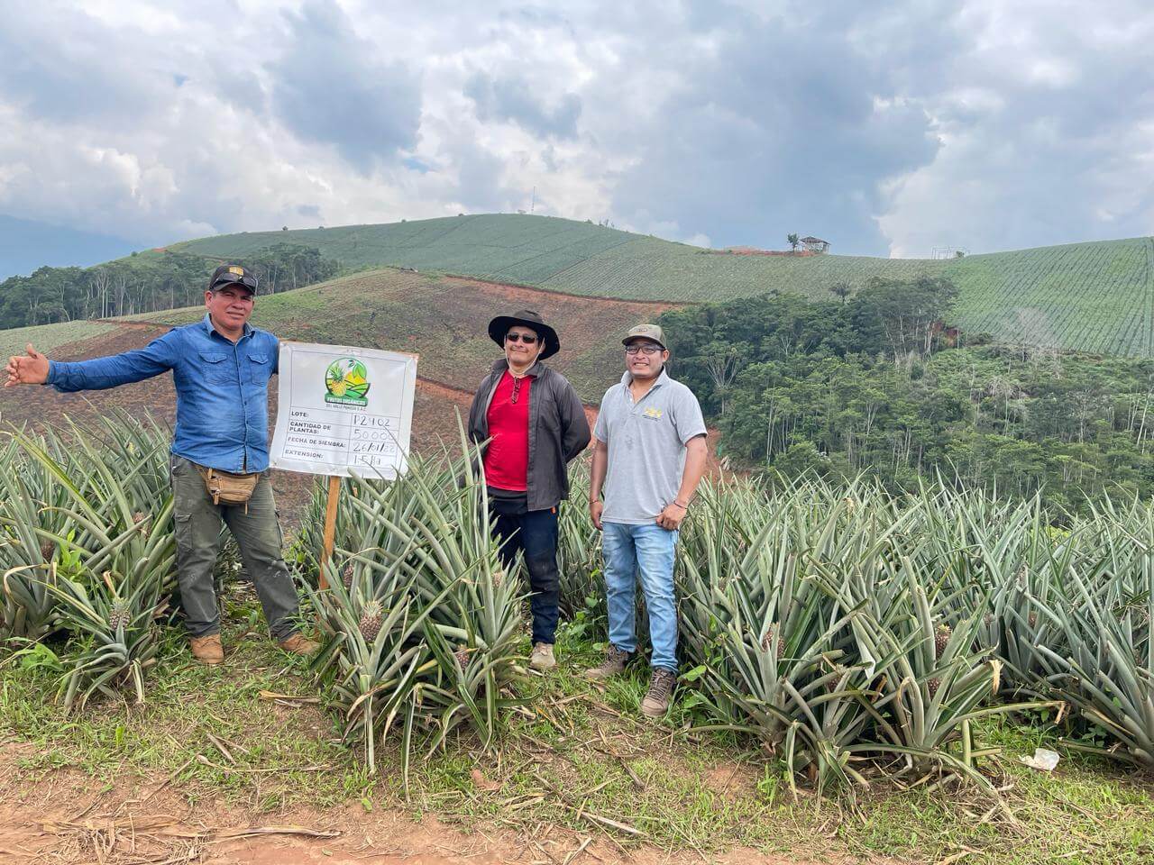 fotos para la galeria de frutos organicos del valle pangoa
