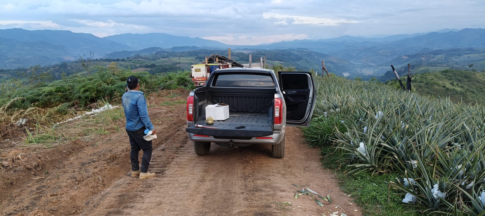fotos para la galeria de frutos organicos del valle pangoa