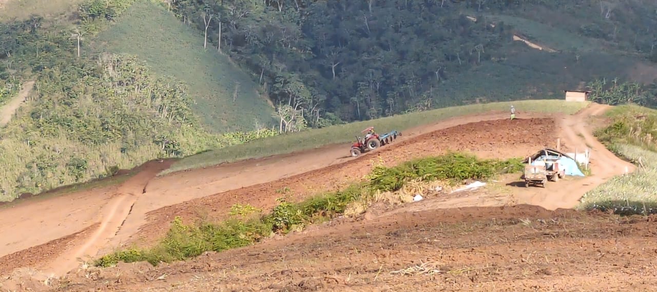 fotos para la galeria de frutos organicos del valle pangoa