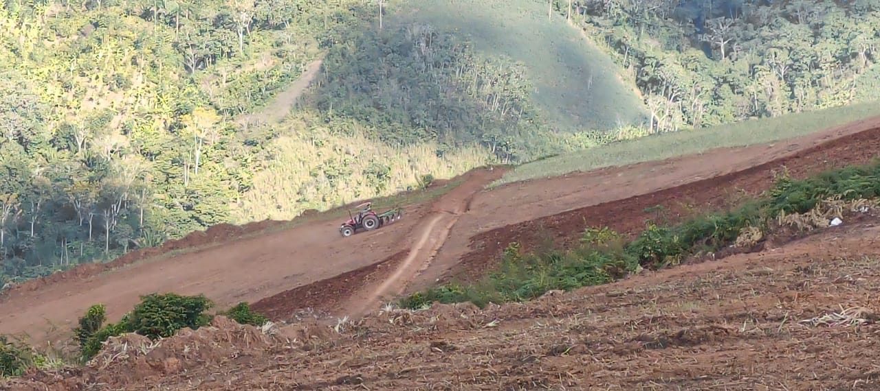 fotos para la galeria de frutos organicos del valle pangoa