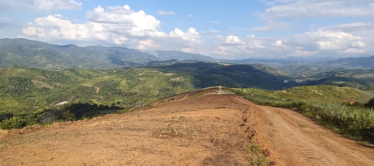 fotos para la galeria de frutos organicos del valle pangoa