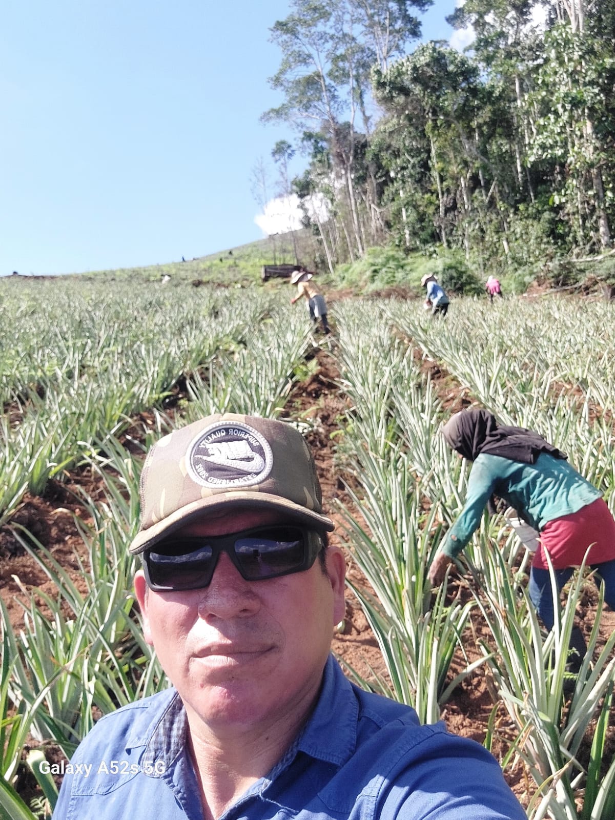 fotos para la galeria de frutos organicos del valle pangoa