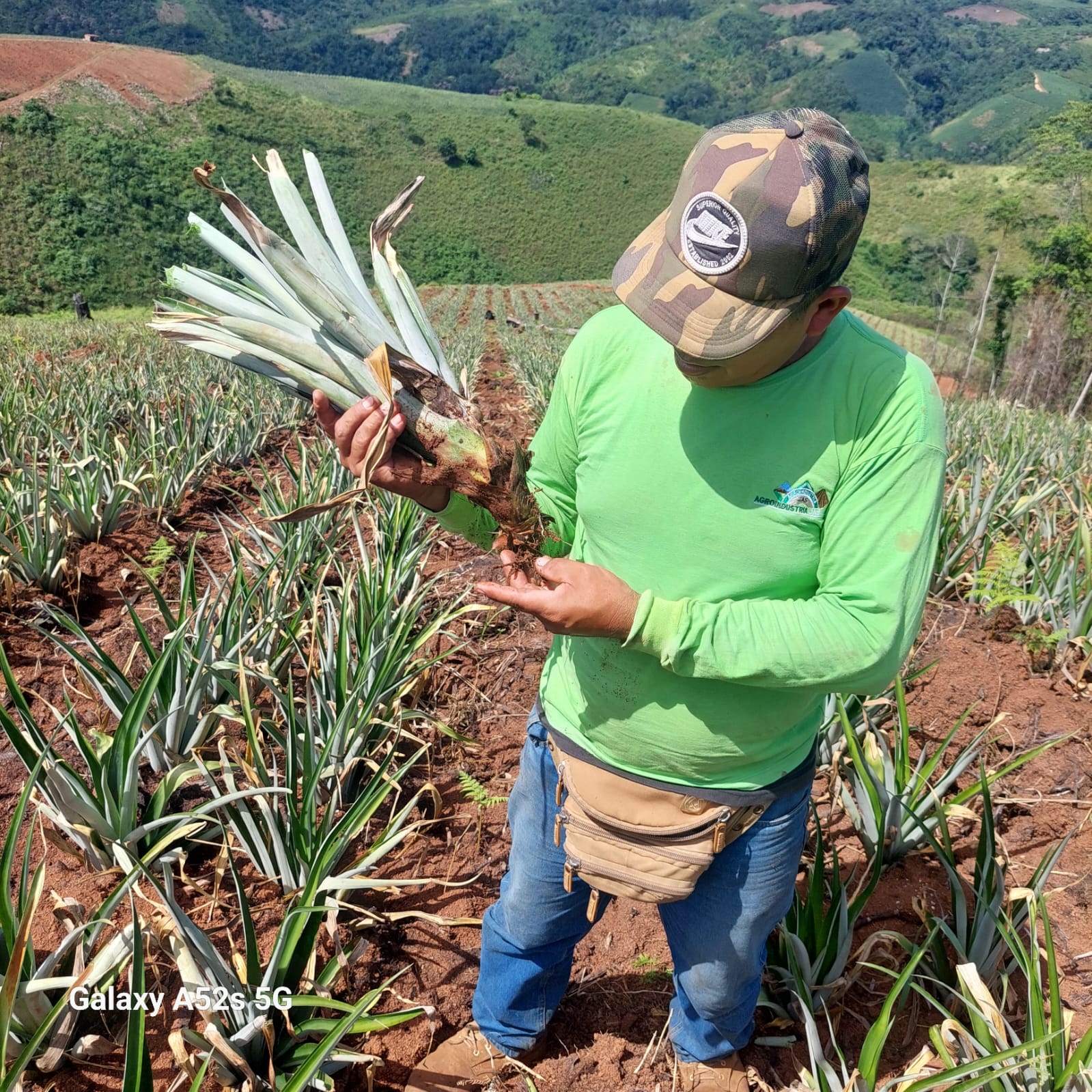 fotos para la galeria de frutos organicos del valle pangoa