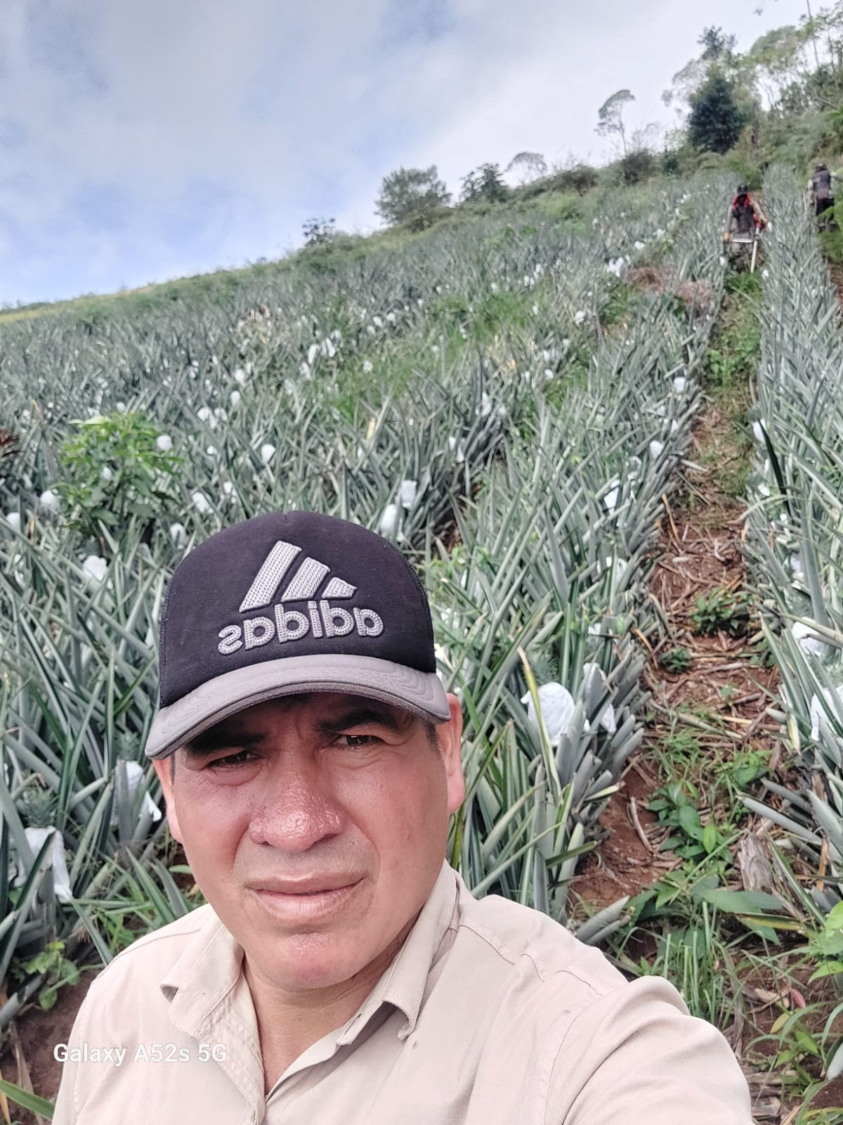 fotos para la galeria de frutos organicos del valle pangoa