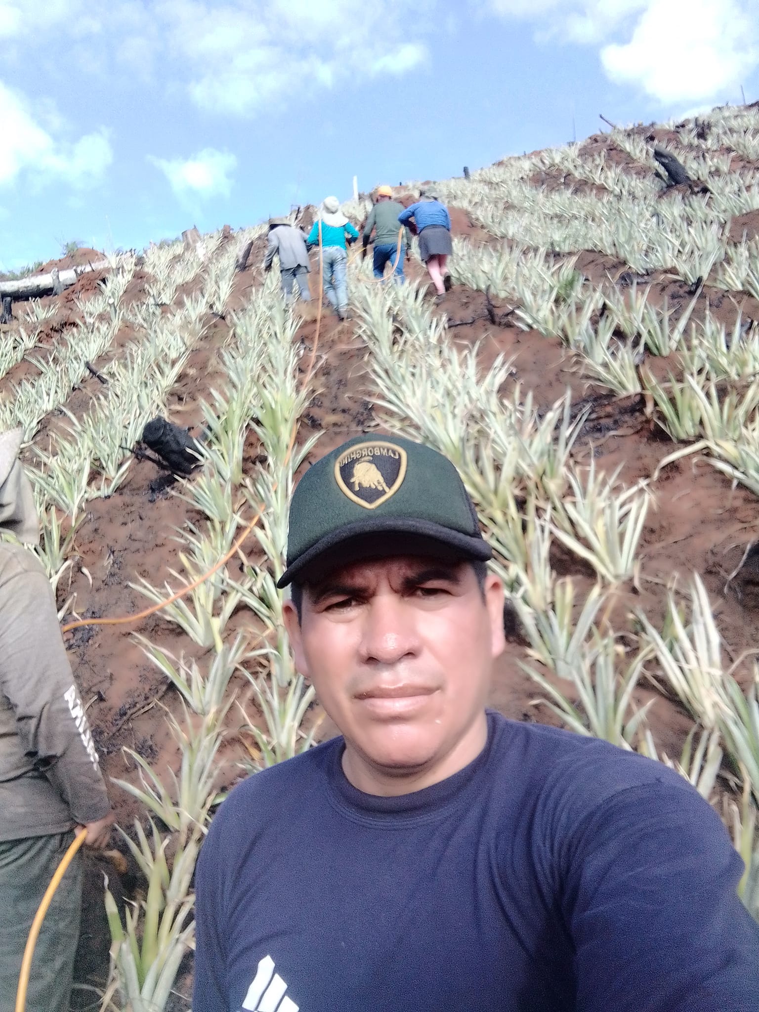 frutos organicos del valle pangoa